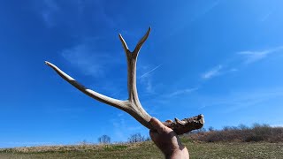 Metal Detecting And Searching An Old Farm In West Virginia