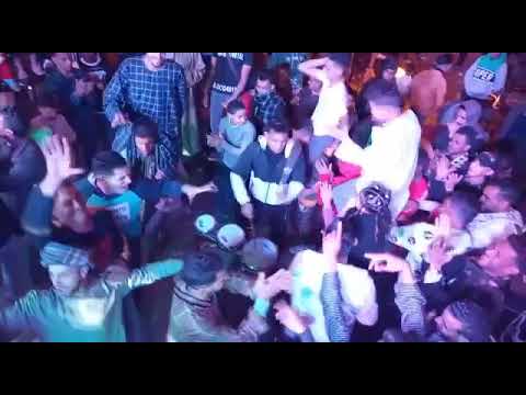 المولد السريع دارمز فارس العالمي جنن الفرح كله