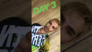 28 07 2018 - Bill Kaulitz Instagram Stories I - XIV 28 07 2018 - Bill Kaulitz Instagram Stories I - XIV