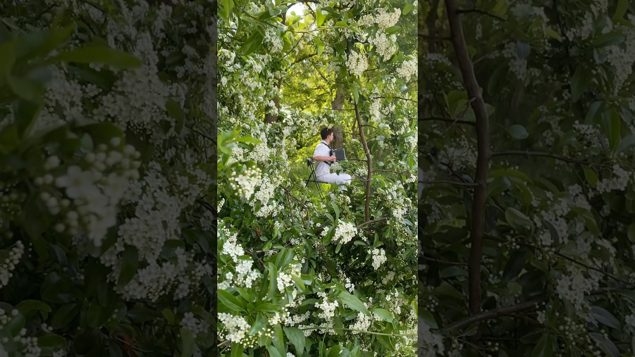 L’ACCORDÉONISTE - Antoine DEBARD/Ysoline TRICHOT 🪗
