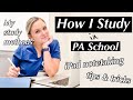 HOW I STUDY IN PA SCHOOL- Sharing My Study Methods, iPad Notetaking, Tips & Tricks| Sam Kelly