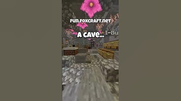 This Minecraft Warp Is So Cool #minecraft #minecraftshorts #minecraftserver