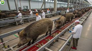 World's Largest Canned Wild Boar Meat Processing Plant in Russia | Wild Boar Slaughterhouse