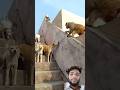 बंदर डर गया कुत्ता और पप्पी से 🐶🙉🐒🐶🙉🐒#shorts #funny #comedyshorts