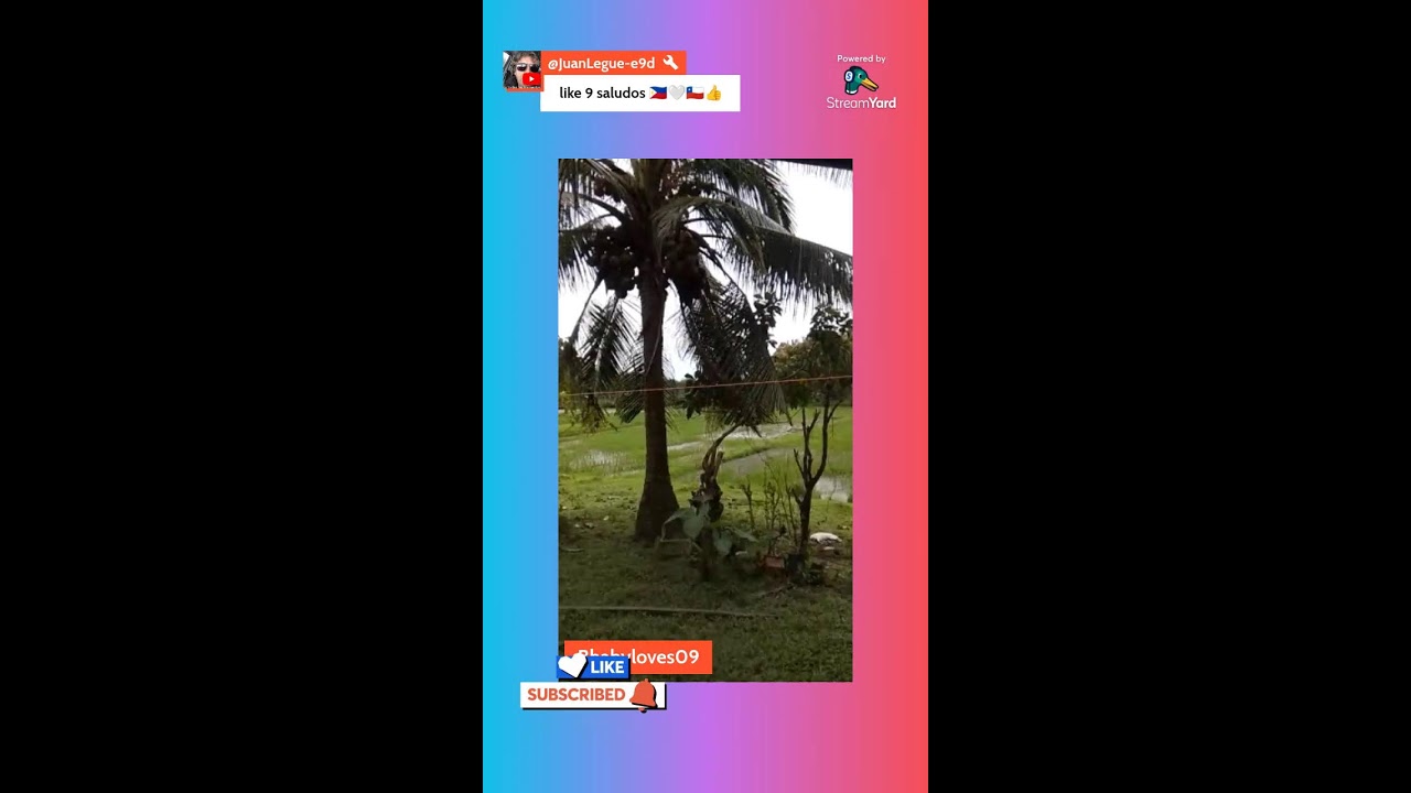 Morning guys welcome to my live stream 🥰