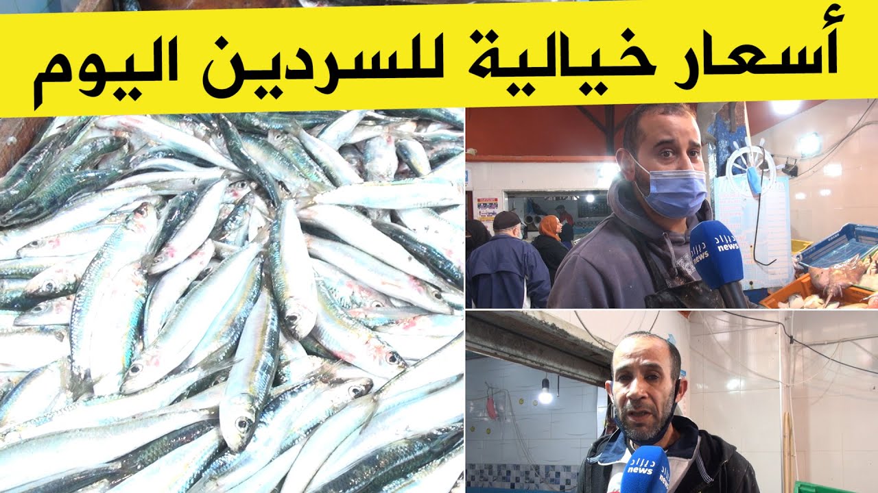 السردين في الجزائر يصل إلى 