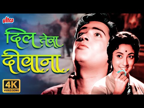 Dil Tera Diwana Hai Sanam (4K) Song : Shammi Kapoor 