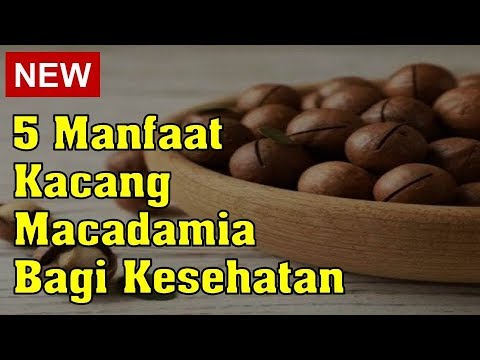 Video: Makadamia terbuat dari apa?