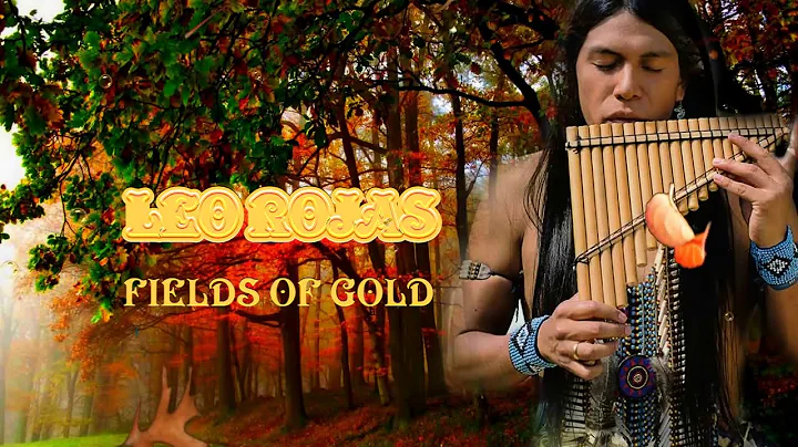 Leo Rojas - Fields Of Gold @Tatiana Blue 2