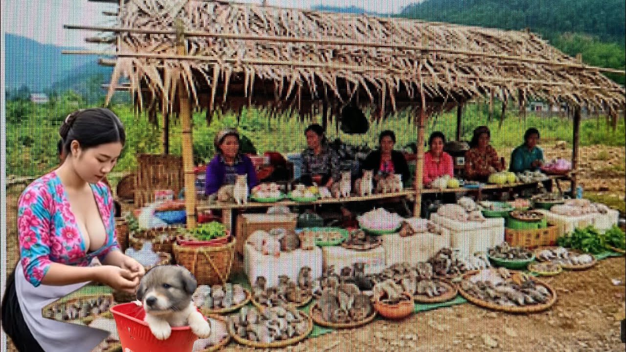 Discover the Ta Phoi market, the first of its kind, featuring 102 ...