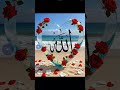#allah #allahuakbar #massallah #love #duet