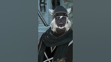 When you meet your FFXIV twin