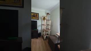 3563 23rd Ave N, St. Petersburg, FL 33713 FOR SALE $270,000