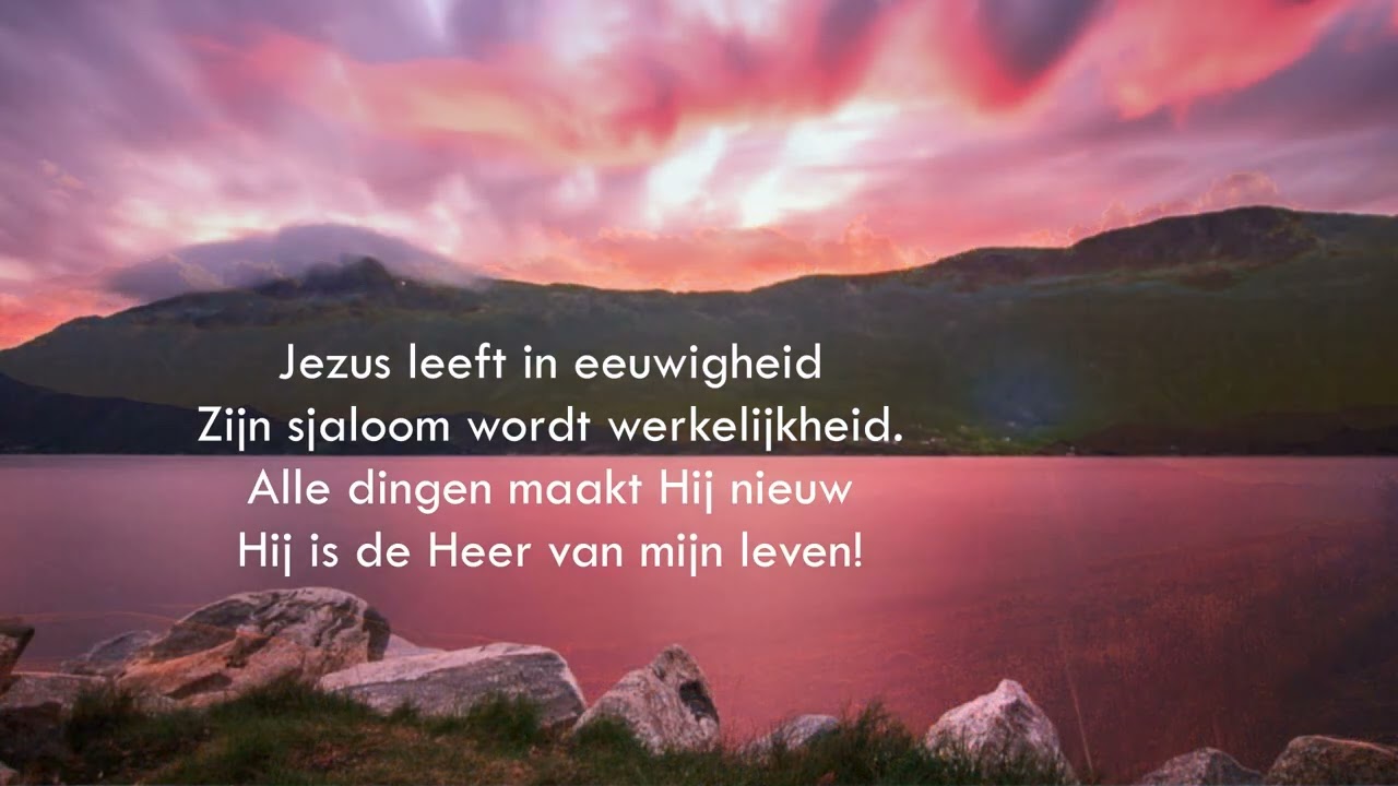 Samenzang: Jezus leeft in eeuwigheid. Orgel: Eric Wolfert.