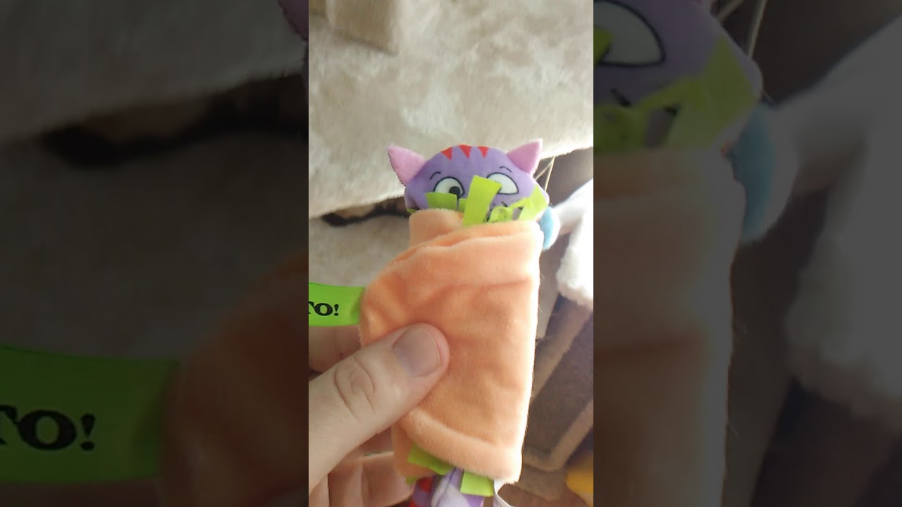 Enjoy your "Purrito"!