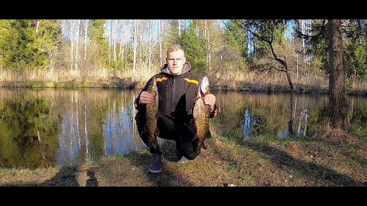 Haugipüügi hooaja avamine Põltsamaa jõel