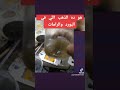 فصل الذهب من البورد     #الذهب    #استخراج_الذهب_من_الصخور   #