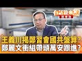 國安和中介選舉的爭議