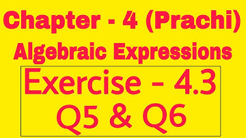 Class - 8th (Prachi) || Chapter - 4 Algebraic Expression || Exercise - 4.3 Q5 & Q6