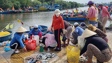 Phan Thiết Thanh Hải ngày nay, Mũi Né trời nắng đẹp, hải sản tươi sống tại cảng cá