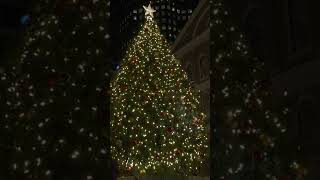 Faneuil Hall Marketplace Merry Christmas Holiday Tree Light Lighting Spectacular