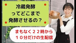 お家でパンを焼こう・・冷蔵発酵でどこまで発酵させるの？