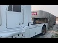 Hauling cattle with a Peterbilt 330!!