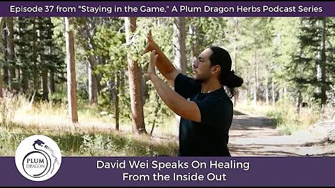 EP37 David Wei Speaks On Healing From the Inside Out