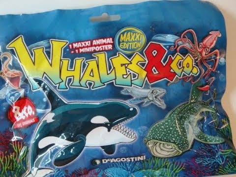 2 Booster Agostini Whales & Co.Maxxi Edition 