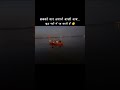 Jisse paar karaya, usi mein sama gayi🛶⛵#ytshorts #deepthoughts