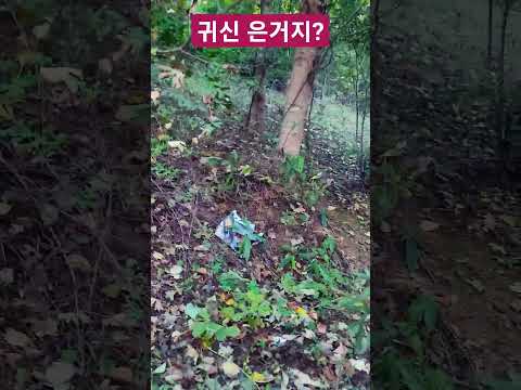 귀신 본부가 <strong>분명하다</strong> !