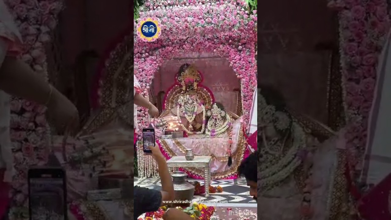 Mere bankey bihari piya chura dil  Poonam di bhajan  vrindavan  bankeybihari  radhavallabh