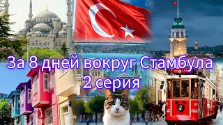 видео: Стамбул 2025. Стоит ли туда ехать? Часть 2. #стамбул2025 #ценывтурции #турцияцены #стамбул #турки  картинка: Стамбул 2025. Стоит ли туда ехать? Часть 2. #стамбул2025 #ценывтурции #турцияцены #стамбул #турки