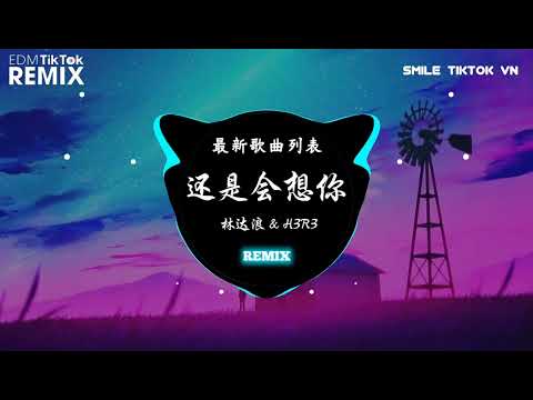 林达浪 & H3R3 - 还是会想你 (DJ版 抖音热播) Vẫn Sẽ Nhớ Em (Remix)『我們的愛就像是流星落下,隨煙火消失的火花』今日热播舞曲抖音 TikTok