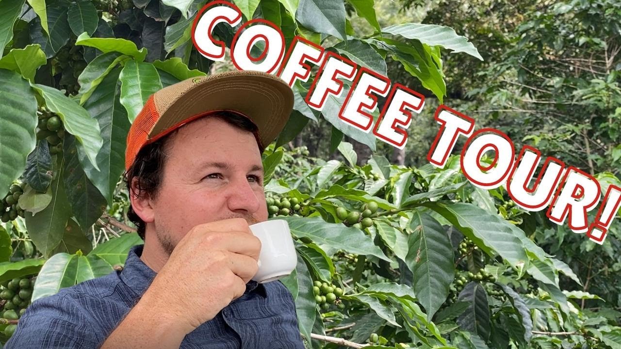 Coffee Tour in Antigua Guatemala: Is this the best coffee? - YouTube