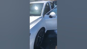 Bird poop bombing! Got it all cleaned up