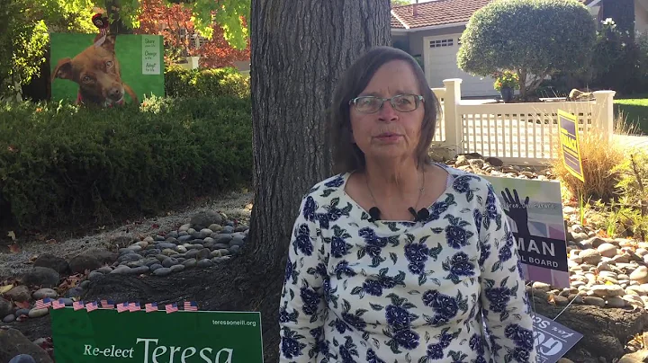 Election 2020: Teresa O'Neill
