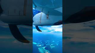 Above the ocean Maldives #shorts