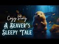 Cozy sleepy story  a beavers sleepy tale 