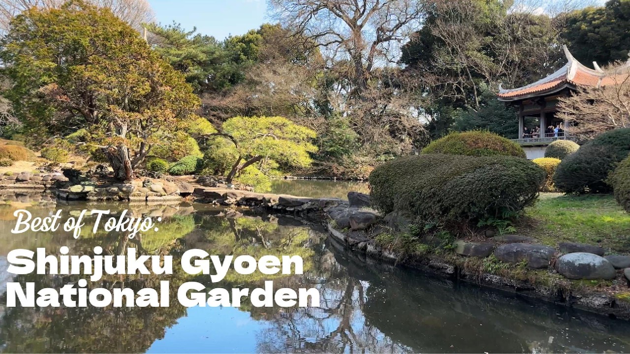 Shinjuku Gyoen National Garden I Peaceful Walk Through One Of The Japan's Most Beautiful Parks