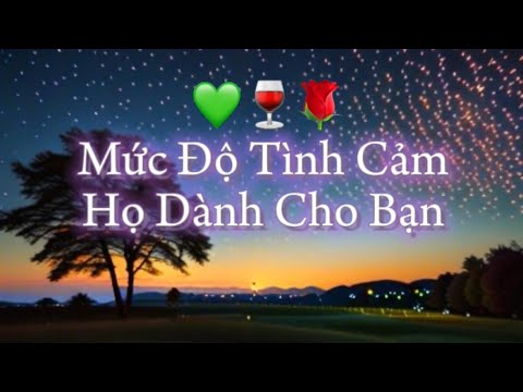 💚🌹🍷Love: Mức Độ Tình Cảm Của Họ Dành Cho Bạn