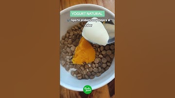 Thumbnail of 3 alimentos económicos para mejorar las croquetas de tu perro 🐶