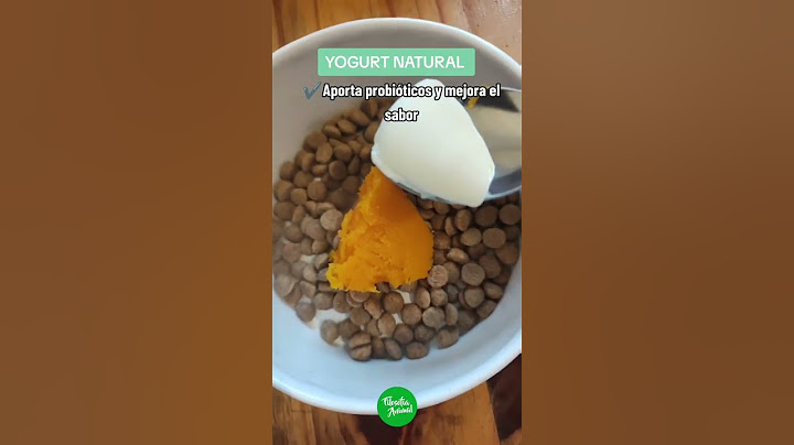 3 alimentos económicos para mejorar las croquetas de tu perro 🐶