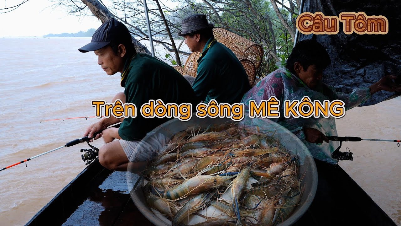 Câu Tôm ngày mưa lai rai 