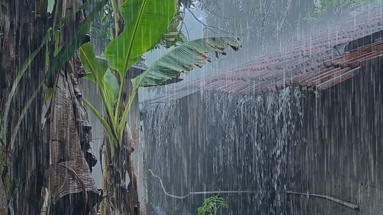 🌧️ Звук сильного дождя, падающего на деревенскую крышу | Спокойная и уютная атмосфера для релаксации