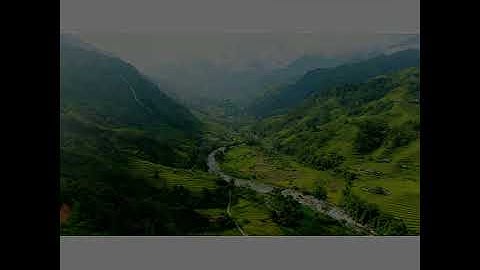 Mùa lúa chín ở bản Lùng Tao, Cao Bồ, Vị Xuyên, Hà Giang