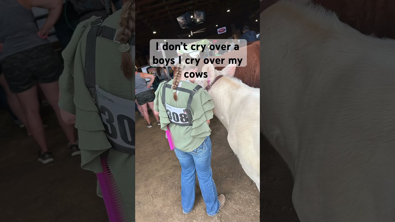 Mmmm Real Commnet Subscribe Cows Relatable Toreal