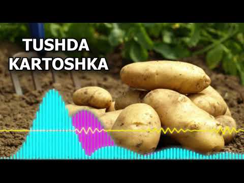 Video: Картошка эмнени билдирет?