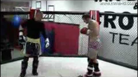 Mirko Cro Cop training