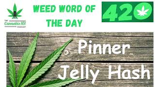 Cannabis 101 Podcast-  Epidsode 83 Hour 1